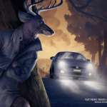 Fiat Panic Brake Assistance: Deer
