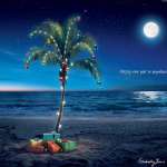 Turkish Airlines: Beach