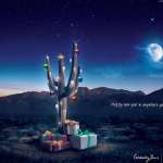 Turkish Airlines: Desert